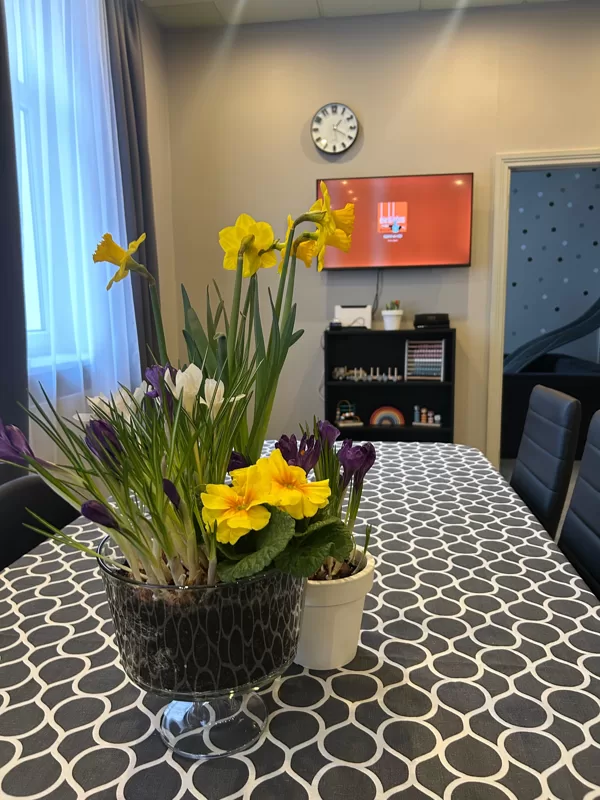 TV, JBL skaļrunis un bezmaksas Wi-Fi